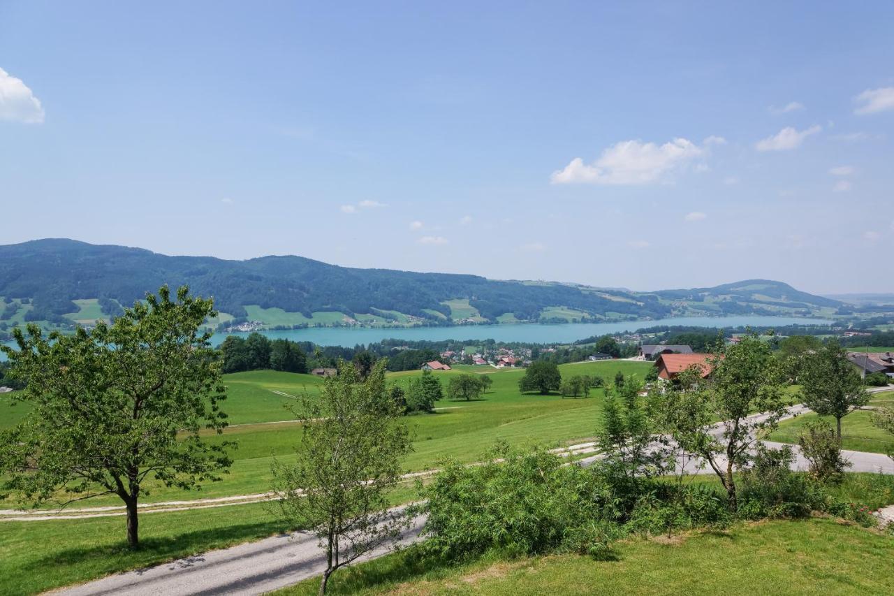 Familienferienhof Stabauer Zell am Moos Exterior foto