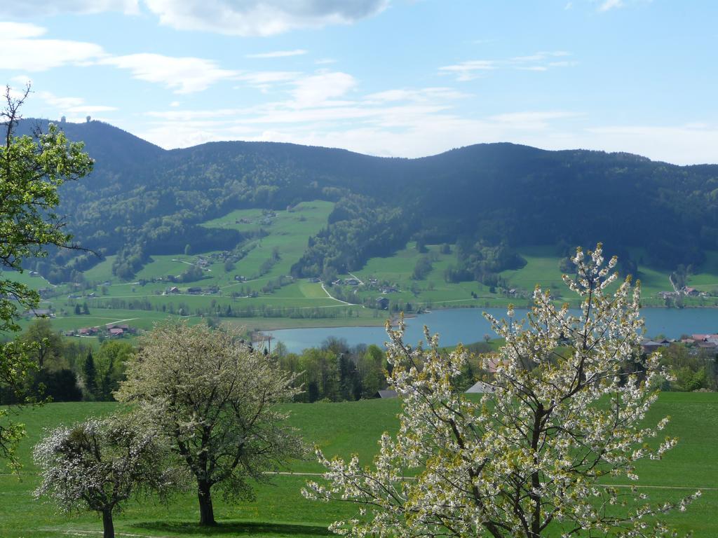 Familienferienhof Stabauer Zell am Moos Exterior foto